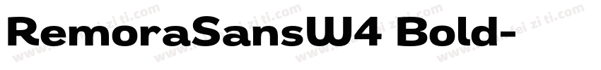 RemoraSansW4 Bold字体转换